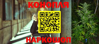 гидра Краснодар