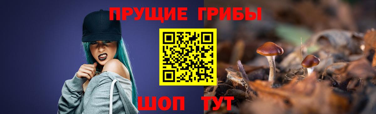 Галлюциногенные грибы GOLDEN TEACHER  Галлюциногенные грибы мухоморы  Ишим  Вход с VPN 